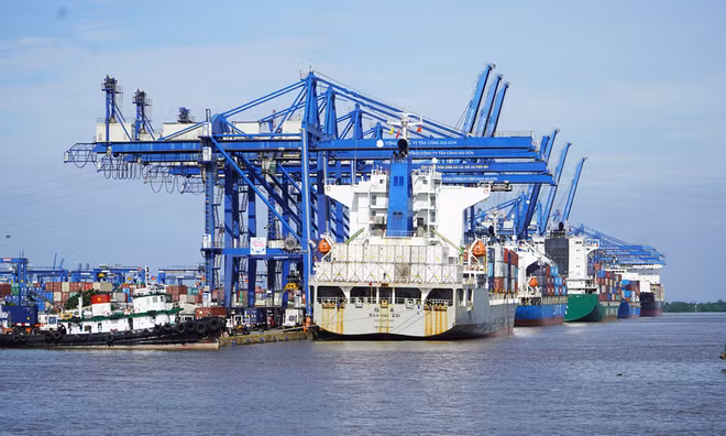 Ciudad Ho Chi Minh planea construir puerto de trasbordo internacional ảnh 1