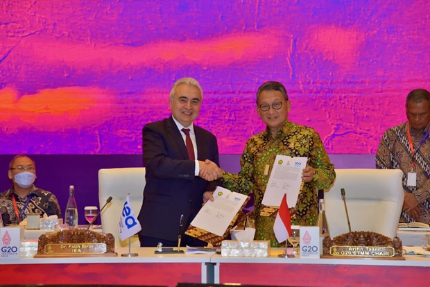 Indonesia presenta hoja de ruta de cero emisiones netas ảnh 1 Indonesia presenta hoja de ruta de cero emisiones netas ảnh 1