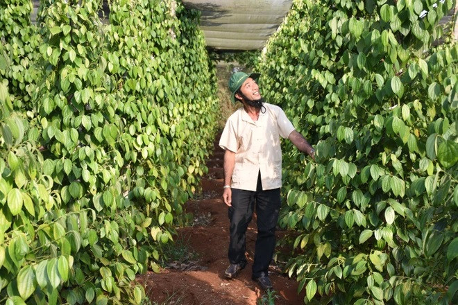 Vietnam se empeña en el objetivo de crecimiento verde ảnh 2 Vietnam se empeña en el objetivo de crecimiento verde ảnh 2