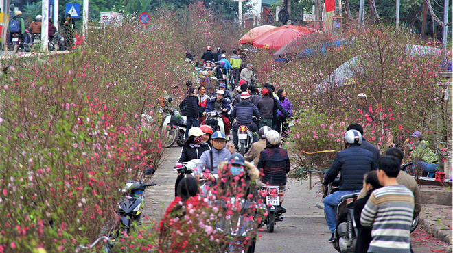 Mercados del Tet reflejan el alma de zonas rurales vietnamitas ảnh 1 Mercados del Tet reflejan el alma de zonas rurales vietnamitas ảnh 1