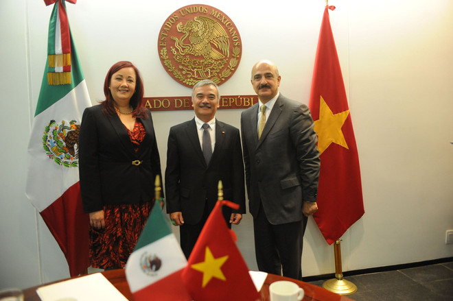Otorga México importancia a desarrollo de relaciones multifacéticas con Vietnam ảnh 2