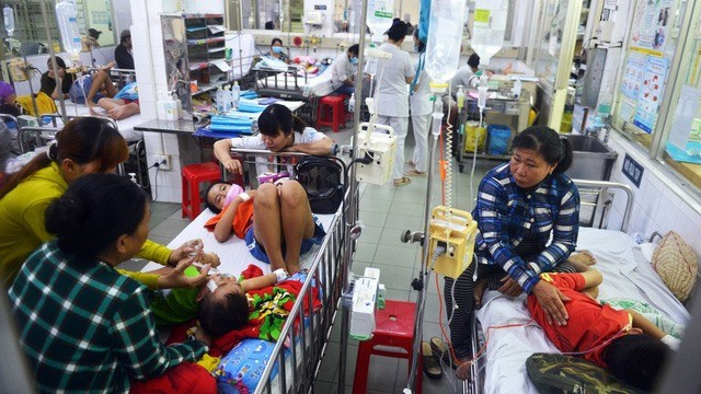 Vacunación es clave para la prevención de enfermedades infecciosas en Vietnam, sostienen expertos ảnh 1 Vacunación es clave para la prevención de enfermedades infecciosas en Vietnam, sostienen expertos ảnh 1