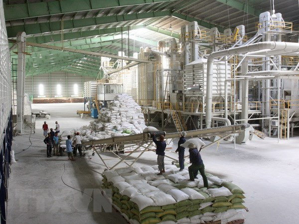 Empresas vietnamitas ganan subasta de vender arroz a Filipinas ảnh 1 Empresas vietnamitas ganan subasta de vender arroz a Filipinas ảnh 1