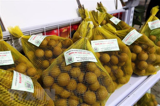 Vietnam divulga industria sin humo en feria internacional en Canadá ảnh 1 Vietnam divulga industria sin humo en feria internacional en Canadá ảnh 1