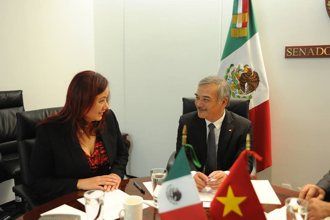 Otorga México importancia a desarrollo de relaciones multifacéticas con Vietnam ảnh 1