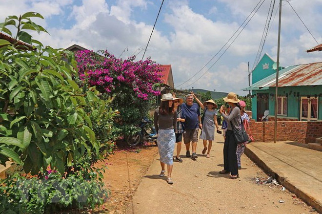 Agroturismo, nuevo estilo de turismo en la provincia vietnamita de Lam Dong ảnh 1 Agroturismo, nuevo estilo de turismo en la provincia vietnamita de Lam Dong ảnh 1