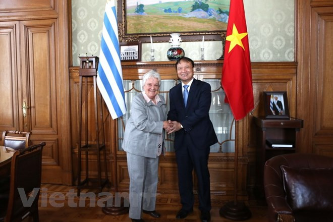 Vicepresidenta de Uruguay aboga por estrechar vínculos con Vietnam ảnh 1 Vicepresidenta de Uruguay aboga por estrechar vínculos con Vietnam ảnh 1