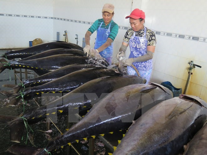 Ligero aumento en exportación vietnamita de atún ảnh 1 Ligero aumento en exportación vietnamita de atún ảnh 1