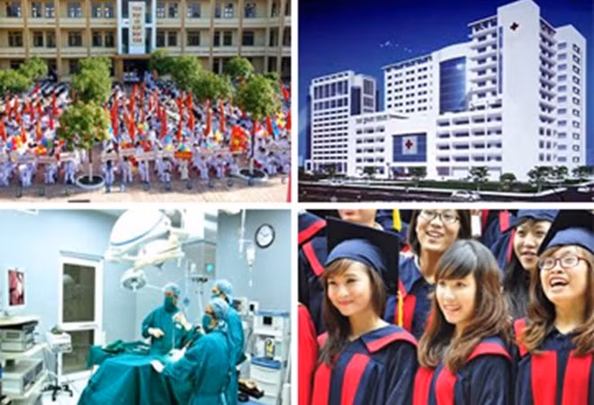 Aumenta capital extranjero en educación en Vietnam ảnh 1