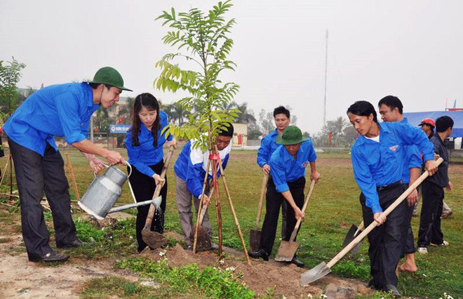 Miles de estudiantes participan en carrera comunitaria por la plantación de árboles ảnh 1 Miles de estudiantes participan en carrera comunitaria por la plantación de árboles ảnh 1