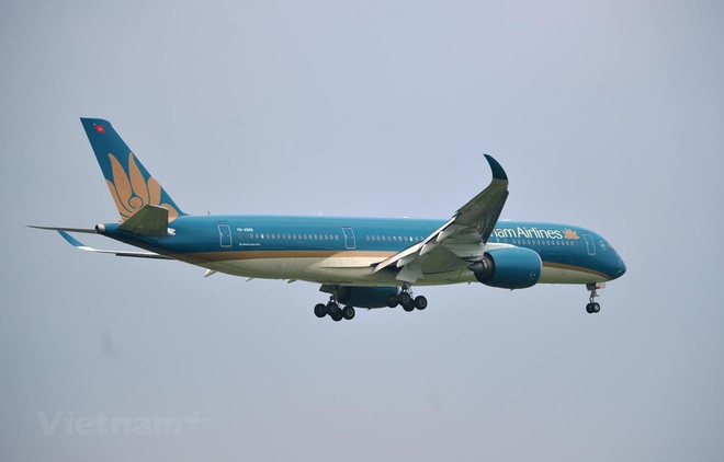 Incrementa Vietnam Airlines vuelos domésticos ảnh 1 Incrementa Vietnam Airlines vuelos domésticos ảnh 1