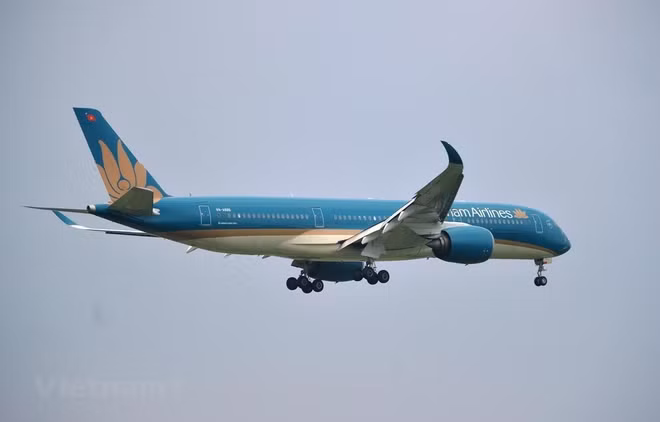Incrementa Vietnam Airlines vuelos domésticos ảnh 1