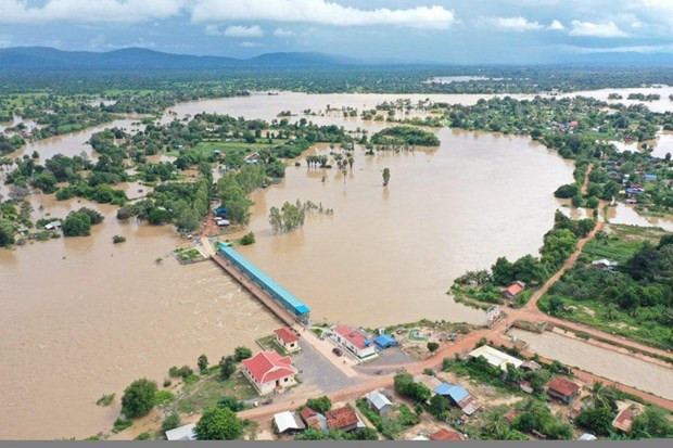 Aumenta número de fallecidos por inundaciones en Camboya ảnh 1 Aumenta número de fallecidos por inundaciones en Camboya ảnh 1