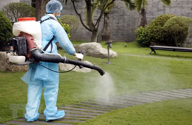 Vietnam registra otros nueve casos positivos con el coronavirus ảnh 1