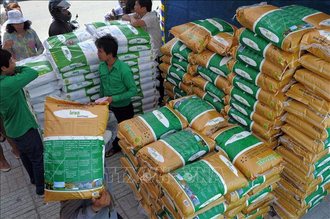 FAO lista para responder a las necesidades de seguridad alimentaria en Camboya ảnh 1