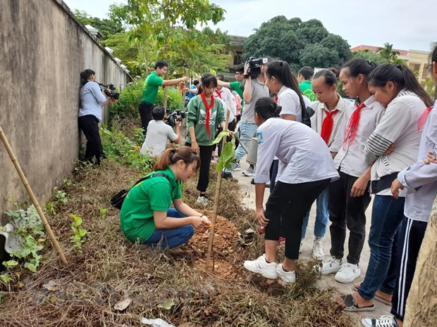 Campaña para reverdecer Hanoi con cuatro mil árboles ảnh 1 Campaña para reverdecer Hanoi con cuatro mil árboles ảnh 1