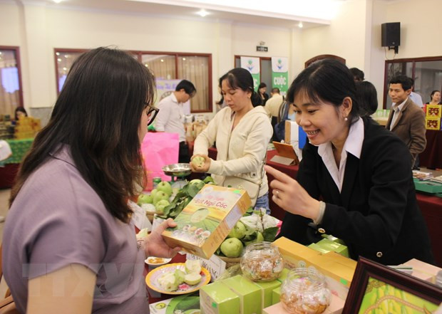 Vietnam continúa la reforma institucional como parte del compromiso con el EVFTA ảnh 1 Vietnam continúa la reforma institucional como parte del compromiso con el EVFTA ảnh 1