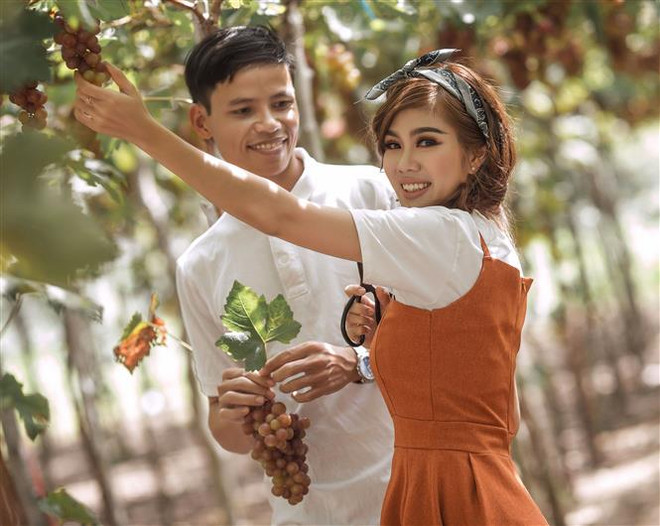 [Fotos] Aldea de cultivo de uva atrae a turistas ảnh 3
