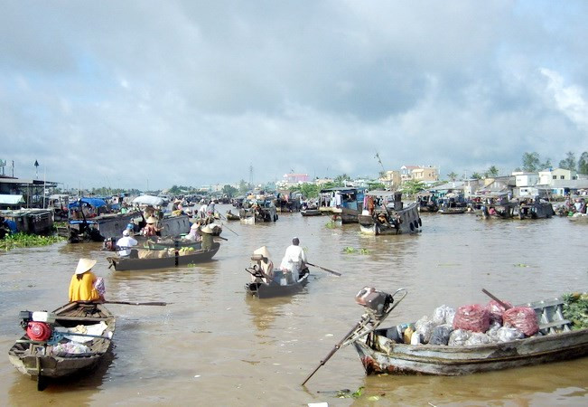 Desarrolla Vietnam turismo responsable en Delta del río Mekong ảnh 1
