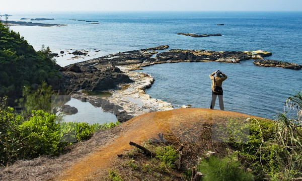 Empresa de Japón propone planificación física de isla de Vietnam ảnh 1 Empresa de Japón propone planificación física de isla de Vietnam ảnh 1