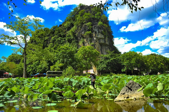 [Foto] Paisaje pintoresco de zona Tam Coc-Bich Dong en provincia norvietnamita de Ninh Binh ảnh 2