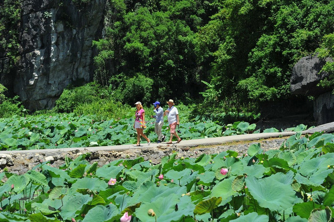 [Foto] Paisaje pintoresco de zona Tam Coc-Bich Dong en provincia norvietnamita de Ninh Binh ảnh 4
