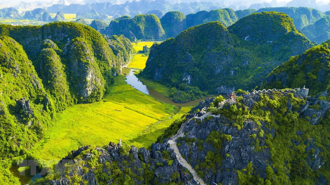 [Foto] Belleza de la temporada de cosecha de arroz en Ninh Binh ảnh 4