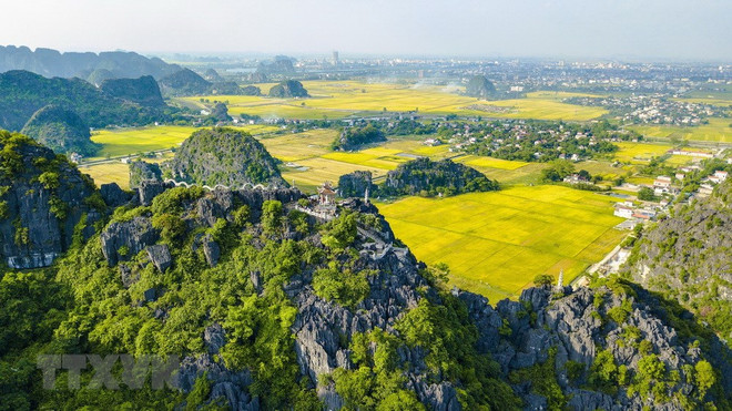 [Foto] Belleza de la temporada de cosecha de arroz en Ninh Binh ảnh 5