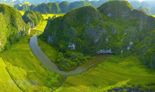 [Foto] Belleza de la temporada de cosecha de arroz en Ninh Binh ảnh 7