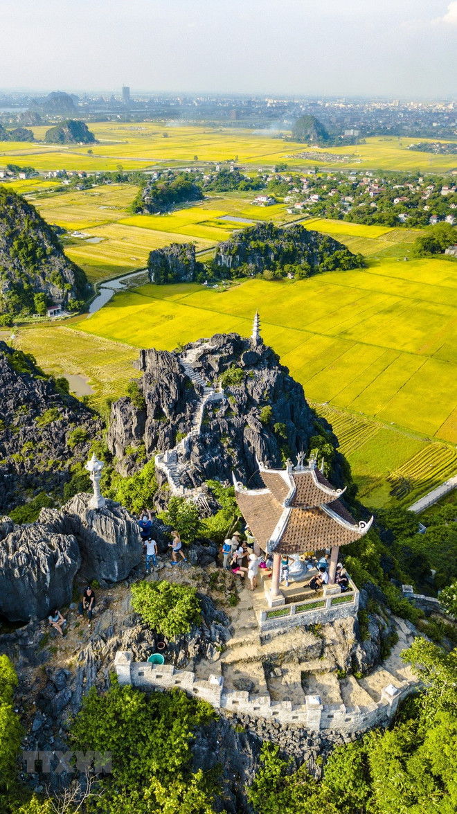 [Foto] Belleza de la temporada de cosecha de arroz en Ninh Binh ảnh 3