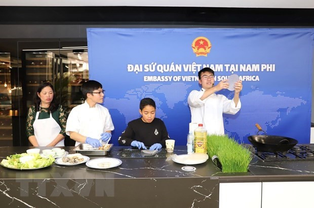 Celebran en Sudáfrica Festival Cultural de ASEAN ảnh 1 Celebran en Sudáfrica Festival Cultural de ASEAN ảnh 1