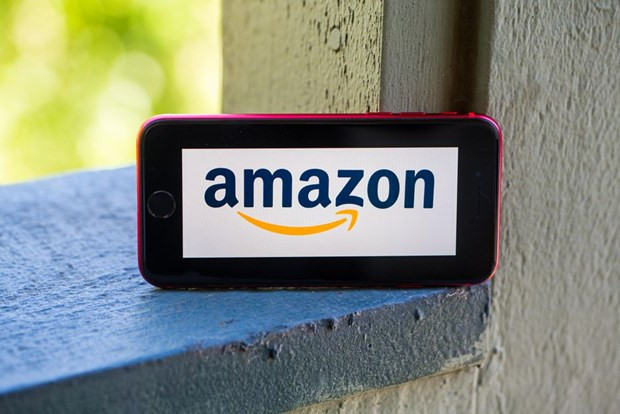 Aumentan exportación de productos vietnamitas a través de plataformas electrónicas Alibaba y Amazon ảnh 1 Aumentan exportación de productos vietnamitas a través de plataformas electrónicas Alibaba y Amazon ảnh 1