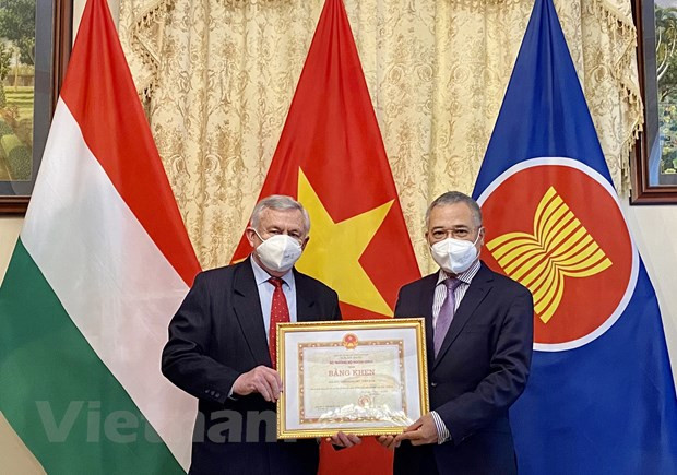 Resaltan contribuciones de Asociación de Amistad Hungría-Vietnam a fomento de lazos binacionales ảnh 1