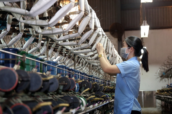 Economía privada: nuevas dinámicas y expectativas ảnh 2 Economía privada: nuevas dinámicas y expectativas ảnh 2
