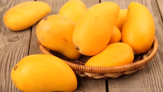 Aumenta precio del mango de Vietnam exportado a Estados Unidos ảnh 1