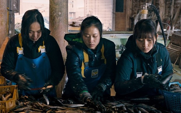 Proyectarán en Japón película sobre trabajadoras vietnamitas ảnh 1 Proyectarán en Japón película sobre trabajadoras vietnamitas ảnh 1