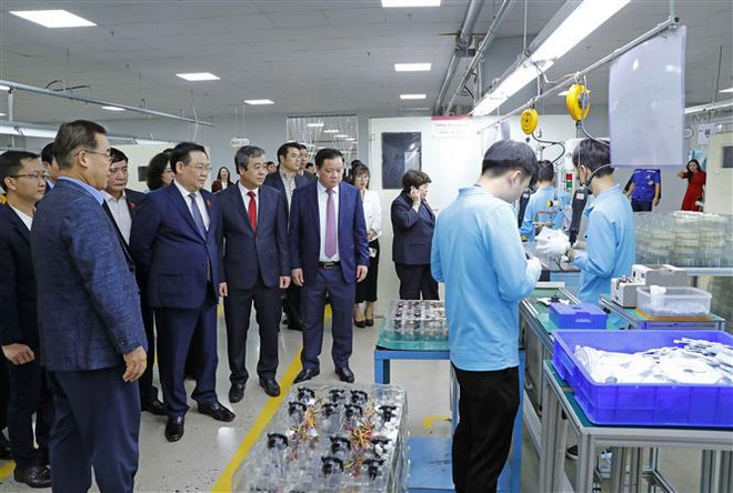 Destacan desarrollo de provincia de Thai Binh en diversos sectores ảnh 2 Destacan desarrollo de provincia de Thai Binh en diversos sectores ảnh 2