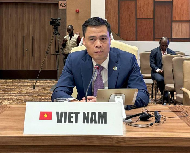 Vietnam propone orientaciones de cooperación en III Cumbre del Sur ảnh 1