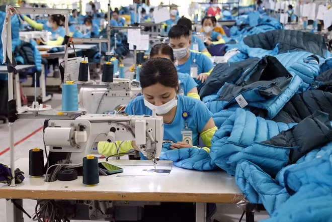 Industria textil de Vietnam se adapta a cambios para avanzar ảnh 1