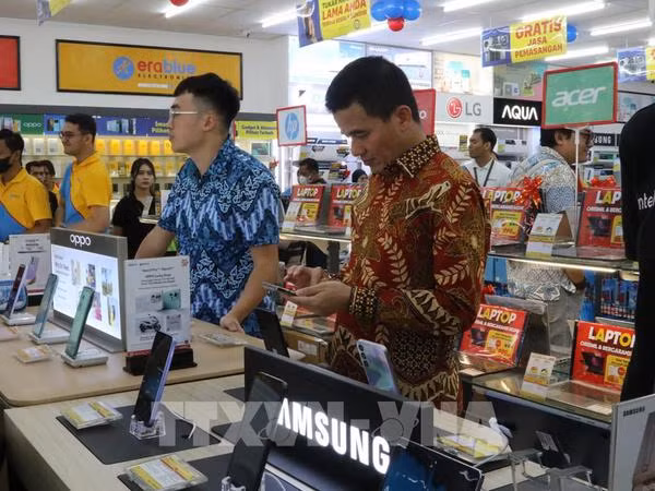 Empresa vietnamita abre tienda número 50 en Indonesia ảnh 1