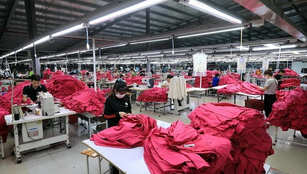 Se registran nuevos signos positivos para economía vietnamita en 2024 ảnh 1 Se registran nuevos signos positivos para economía vietnamita en 2024 ảnh 1