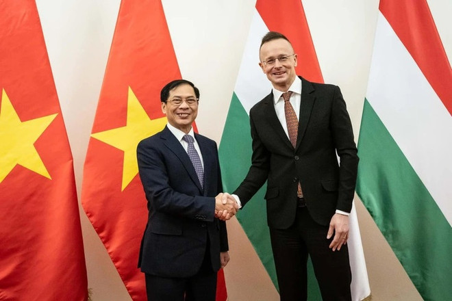 Promueven cooperación diplomática entre Vietnam, Hungría y Rumania ảnh 2