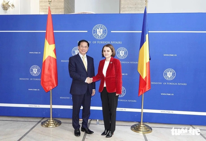 Promueven cooperación diplomática entre Vietnam, Hungría y Rumania ảnh 1