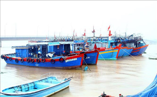 Destacan logros de provincia de Phu Yen en la lucha contra la pesca ilegal ảnh 1 Destacan logros de provincia de Phu Yen en la lucha contra la pesca ilegal ảnh 1