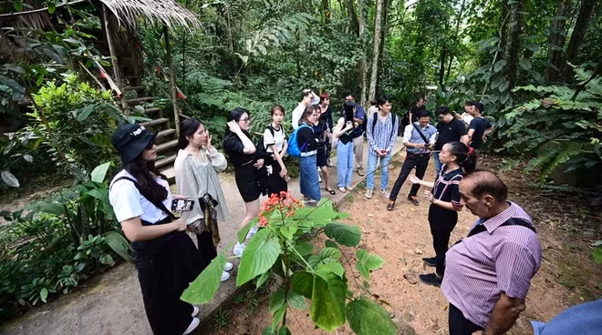 Tours durante el Tet están disponibles para reservar ảnh 1