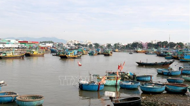 Provincia centrovietnamita se esfuerza en lucha contra pesca ilegal ảnh 1 Provincia centrovietnamita se esfuerza en lucha contra pesca ilegal ảnh 1