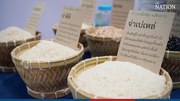 Tailandia desarrollará mercado del arroz premium ảnh 1 Tailandia desarrollará mercado del arroz premium ảnh 1
