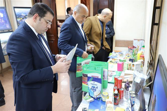Empresas vietnamitas y egipcias fortalecen conexión ảnh 1