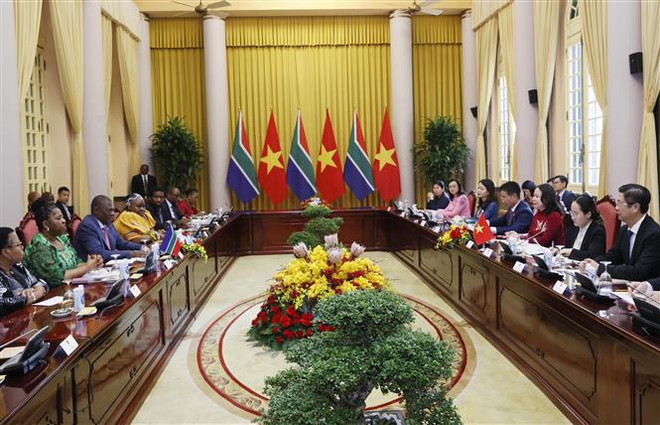 Vietnam aprecia amistad tradicional con Sudáfrica, afirma vicepresidenta ảnh 2 Vietnam aprecia amistad tradicional con Sudáfrica, afirma vicepresidenta ảnh 2