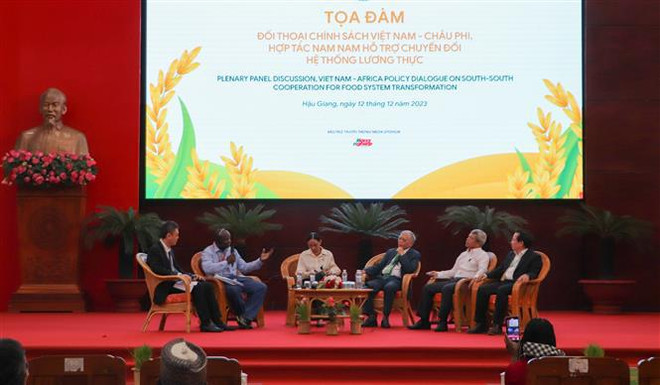 Inauguran Festival internacional del sector de arroz Vietnam - Hau Giang 2023 ảnh 3 Inauguran Festival internacional del sector de arroz Vietnam - Hau Giang 2023 ảnh 3